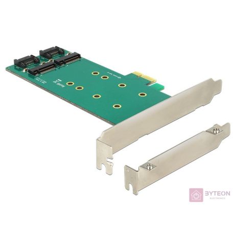 DeLock PCI Express Card > 2x internal M.2 Key B 110mm Low Profile Form Factor