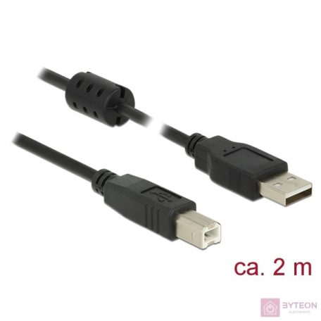 DeLock USB 2.0 Type-A male > USB 2.0 Type-B male cable 2m Black