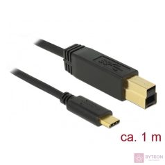 DeLock USB 3.1 Gen 2 (10 Gbps) cable Type-C to Type-B 1m