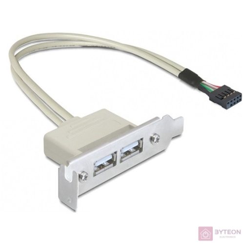 DeLock Slot konzol USB 2.0 low profile 2 port