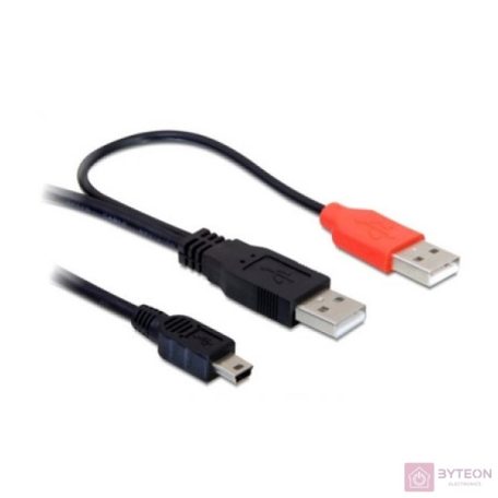 DeLock Cable 2 x USB2.0-A male > USB mini 5-pin 1m