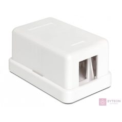 DeLock Keystone Surface Mounted Box 1 Port