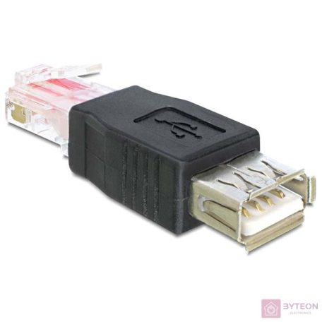 DeLock Adapter USB female > RJ45 male