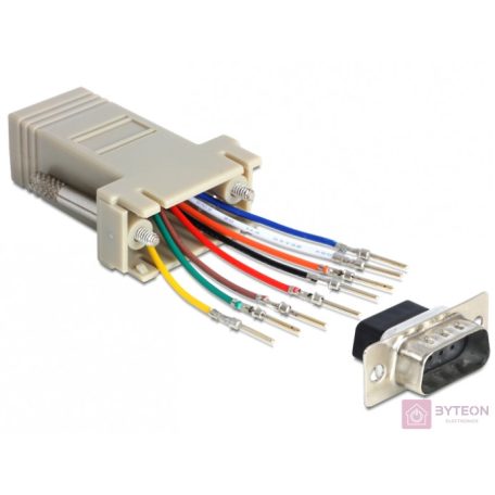 Delock D-SUB 9pin - RJ45 CAT5 UTP M/F adapter szet (szerelő készlet)