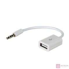 Akyga AK-AD-24 USB/MiniJack 15cm White