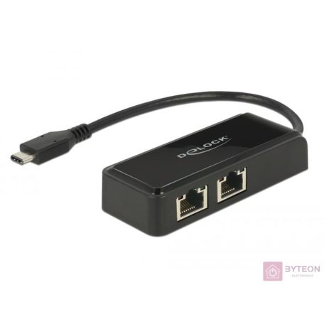 Delock Adapter SuperSpeed USB (USB 3.1 Gen 1) USB Type-C? csatlakozódugóval > 2 x Gigabit LAN 10/100