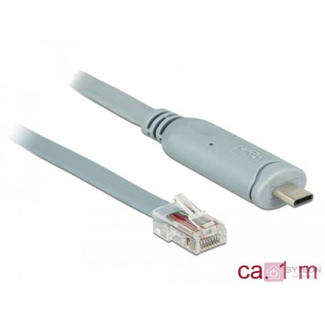 Delock Adapter USB 2.0 C-típusú apa > 1 x soros RS-232 RJ45 apa 1,0 m szürke