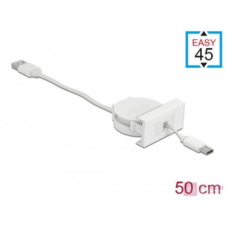 DeLOCK 81318 USB kábel 0,62 M USB 2.0 USB A USB C Fehér
