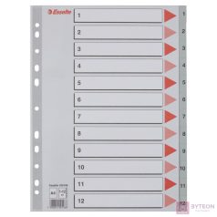 Regiszter ESSELTE műanyag A/4 1-12