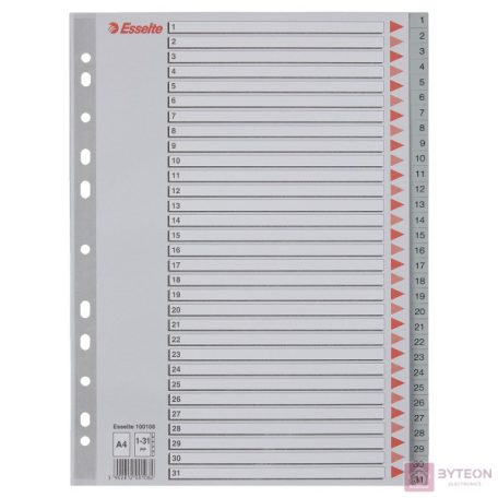 Regiszter ESSELTE műanyag A/4 1-31