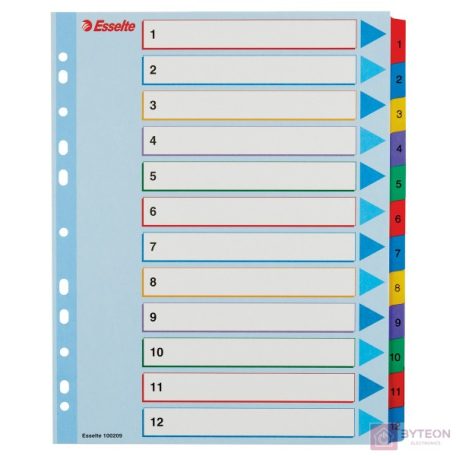 Regiszter ESSELTE A/4 maxi laminált karton újraírható 1-12