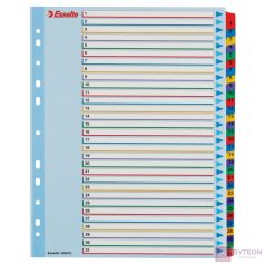   Regiszter ESSELTE A/4 maxi laminált karton újraírható 1-31