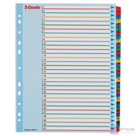 Regiszter ESSELTE A/4 maxi laminált karton újraírható 1-31