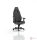 Gamer szék noblechairs LEGEND TX Szövet Antracit