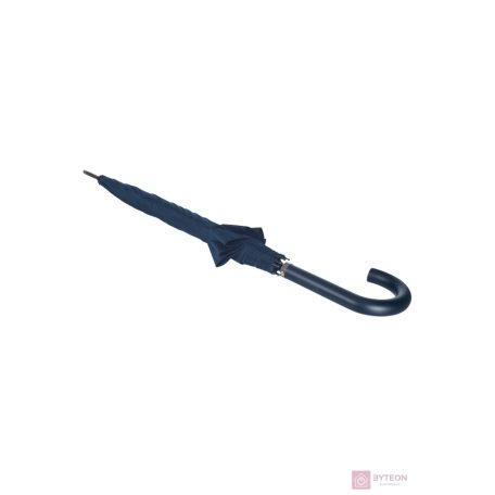 Samsonite Rain Pro Umbrella Blue