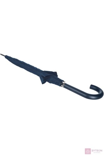 Samsonite Rain Pro Umbrella Blue