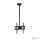 Delight LCD TV Ceiling Mount 32‘ - 55‘ Black