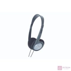 Panasonic RP-HT090E-H fülhallgató