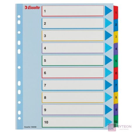 Esselte A4+ Újraírható laminált karton regiszter