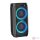 Wireless Bluetooth Speaker W-KING T11 100W (black)