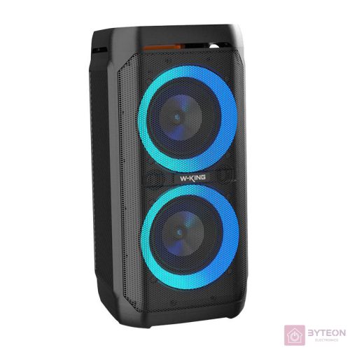 Wireless Bluetooth Speaker W-KING T11 100W (black)
