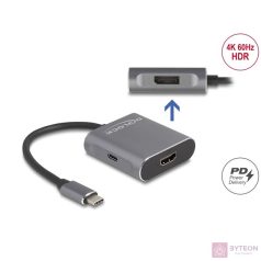Delock 87867 USB C/HDMI/DP adapter