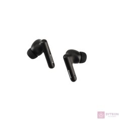   Panasonic RZ-B110WDE-K True Wireless Bluetooth fekete fülhallgató