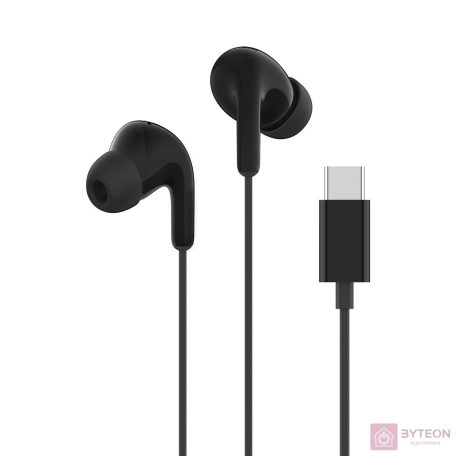Xiaomi Type-C Earphones_Black / BHR8930GL