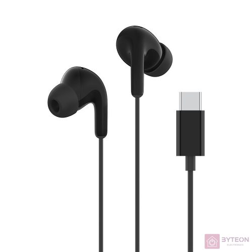 Xiaomi Type-C Earphones_Black / BHR8930GL