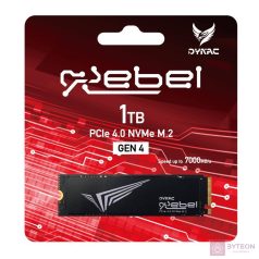 Dynac 1TB M.2 2280 NVMe Rebel