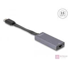 Delock USB Type-C adapter  2,5 Gigabit LAN vékony