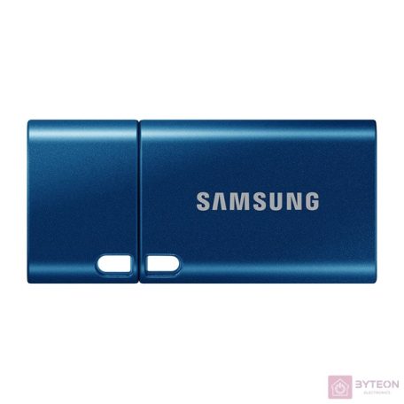 Samsung Flash Drive Type-C 512 GB 3.2 Gen 1 USB Stick blau